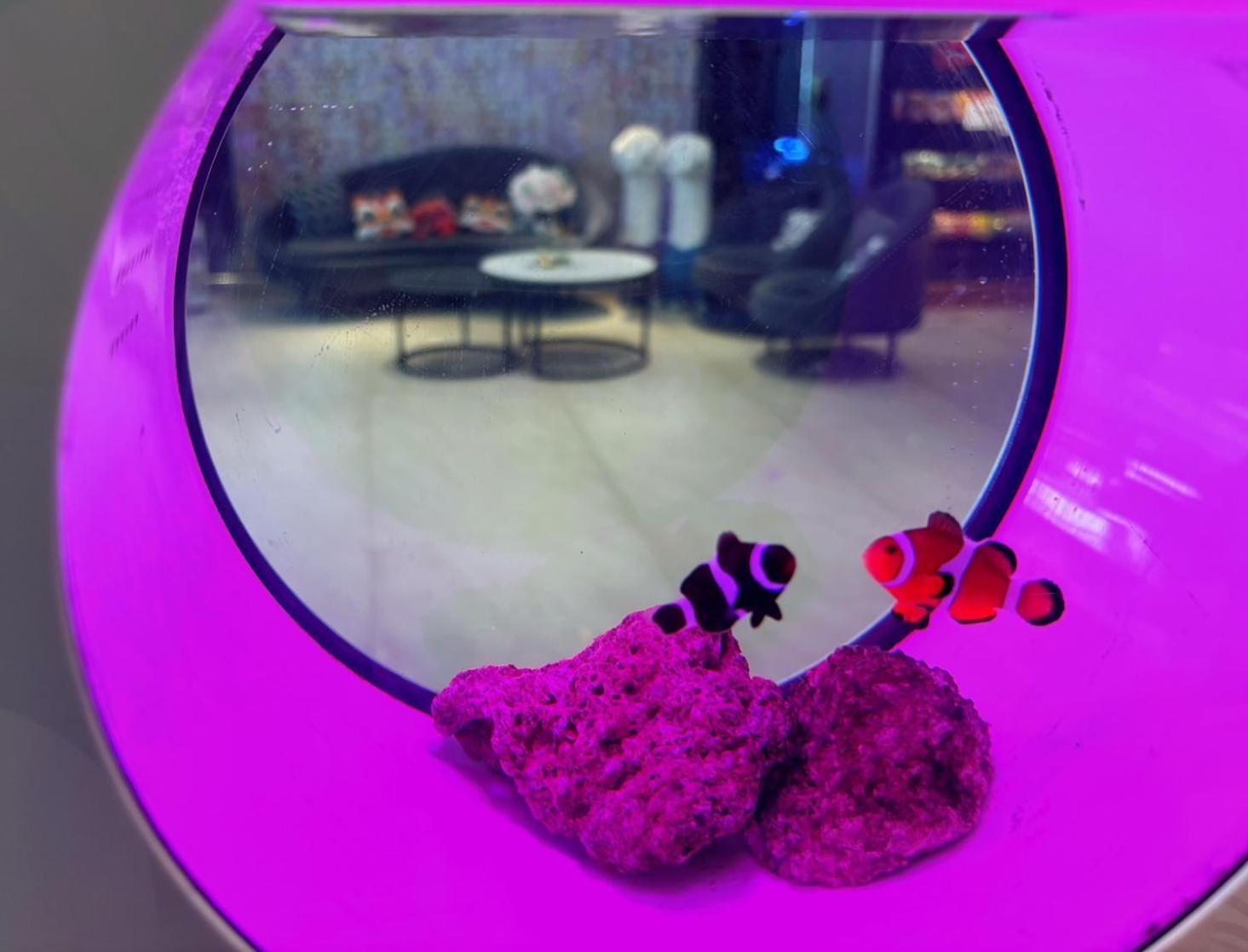 טאיפיי Hopecity Minsheng Hotel מראה חיצוני תמונה